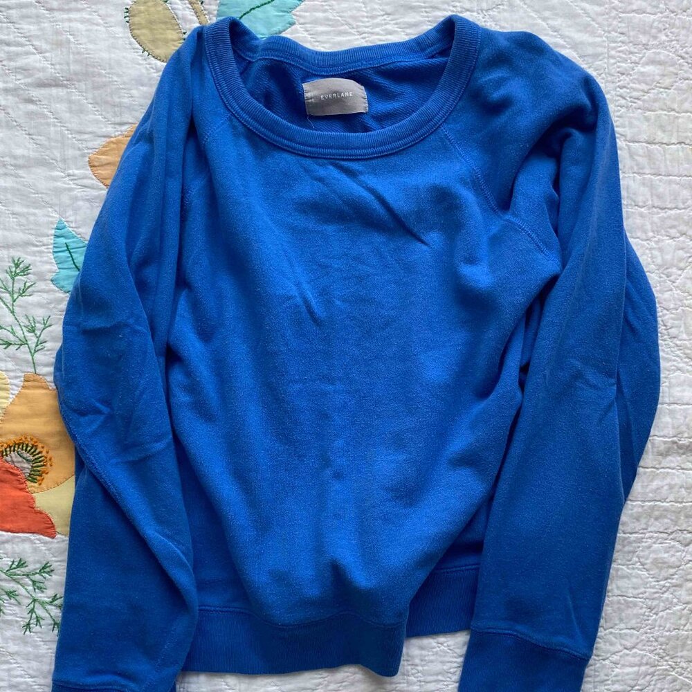 Everlane blue terry sweatshirt size L GUC
